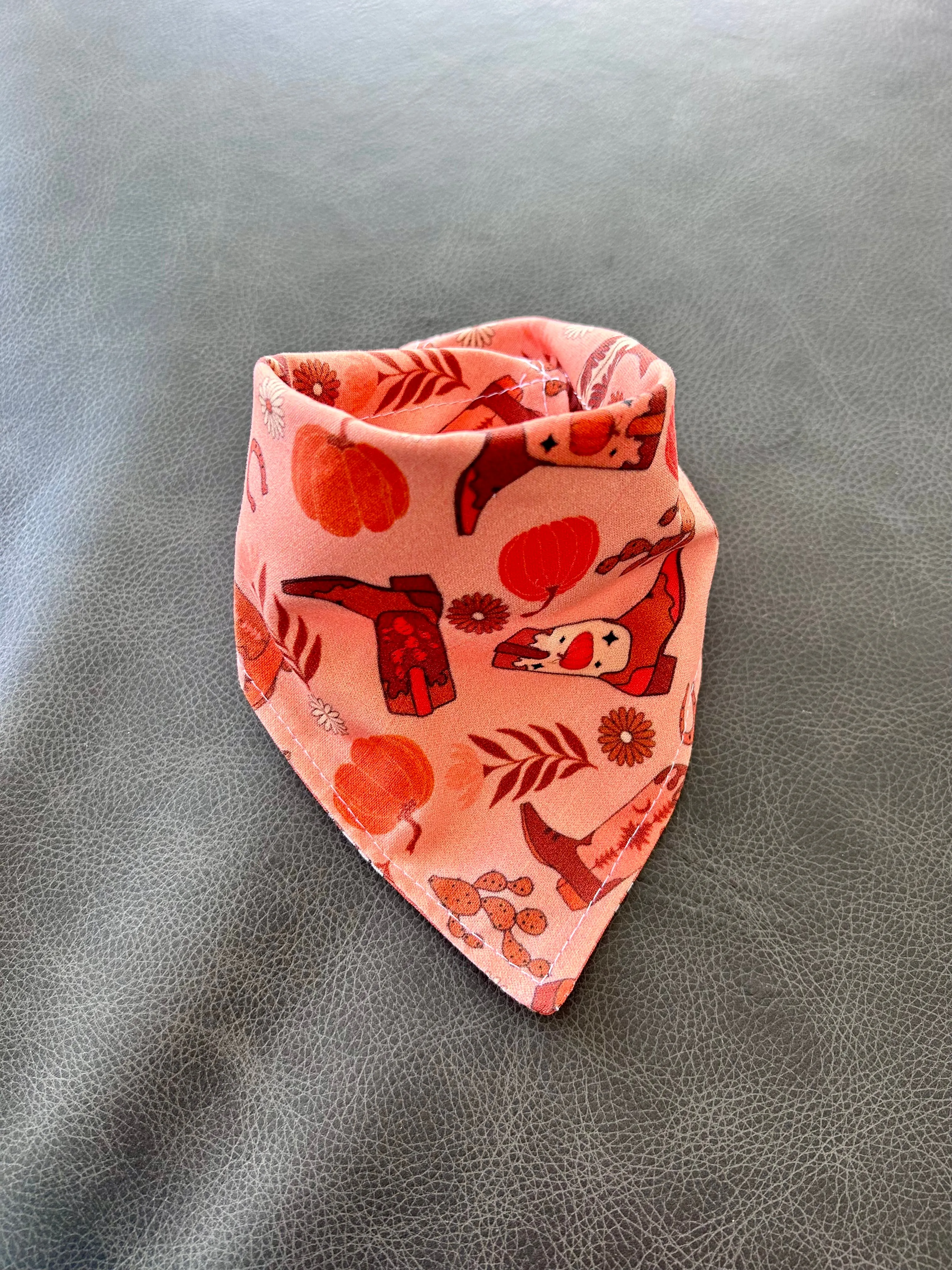 Fall Boots Reversible Dog Bandana