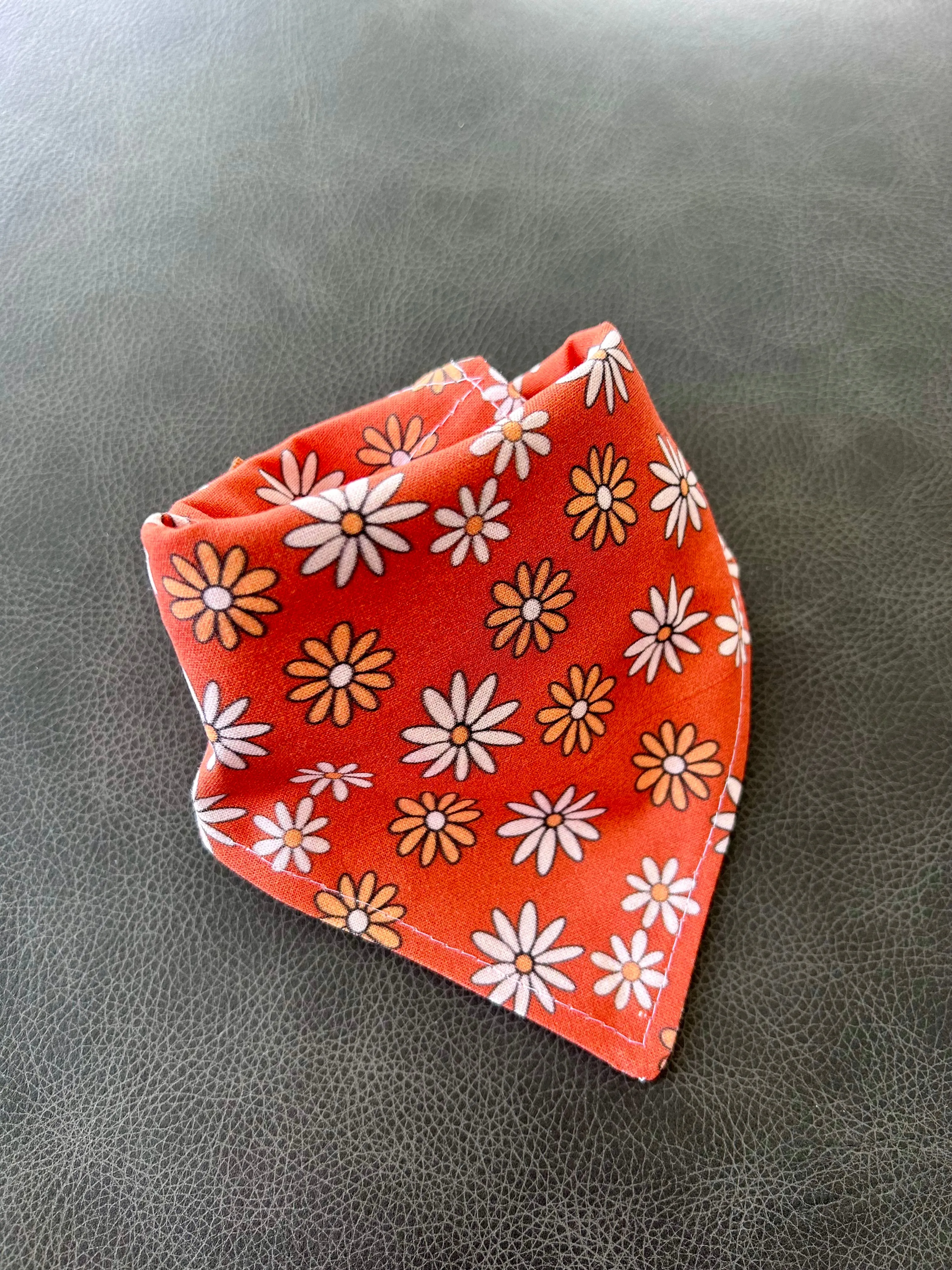 Fall Boots Reversible Dog Bandana