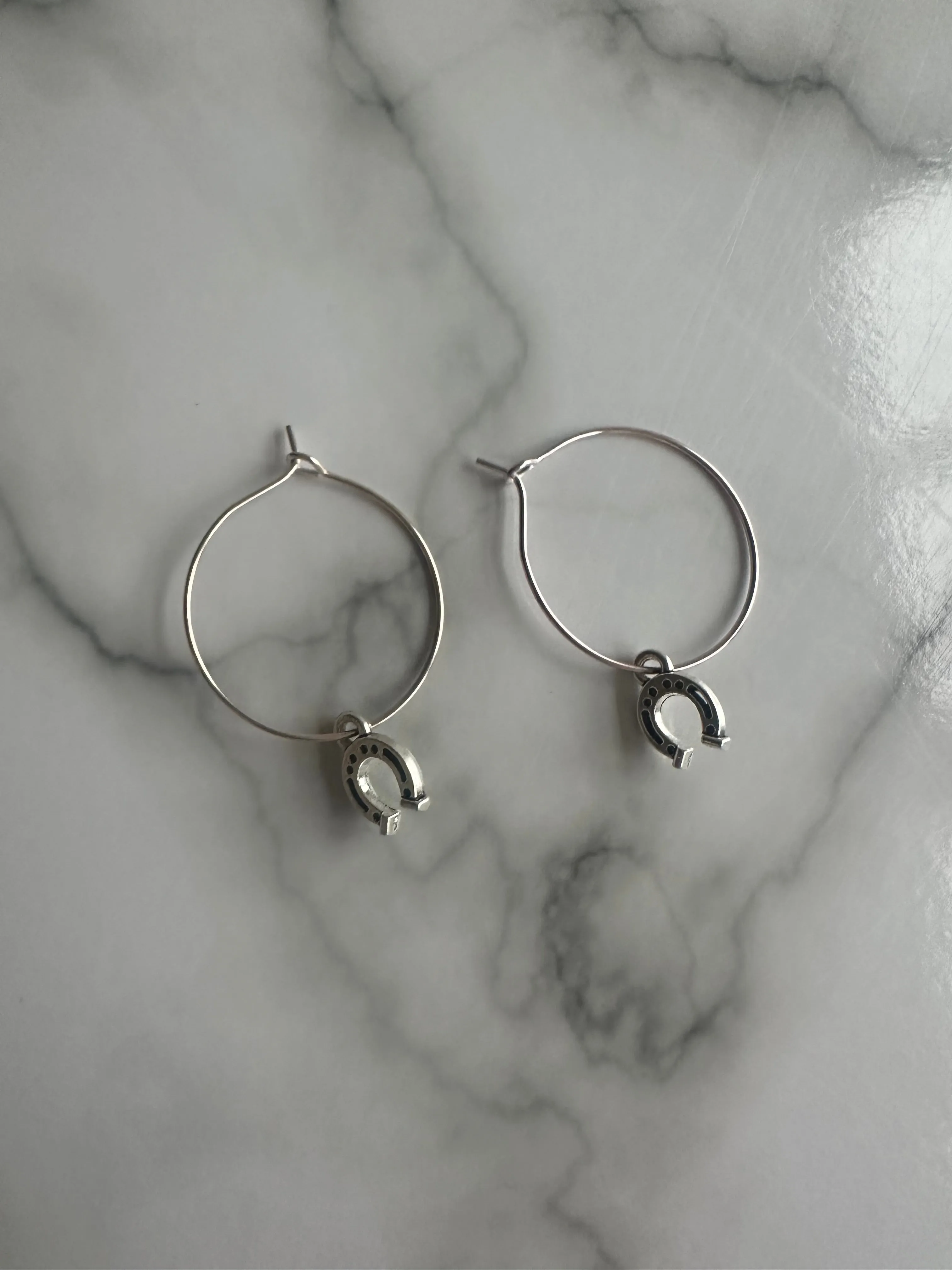 Horseshoe Earrings