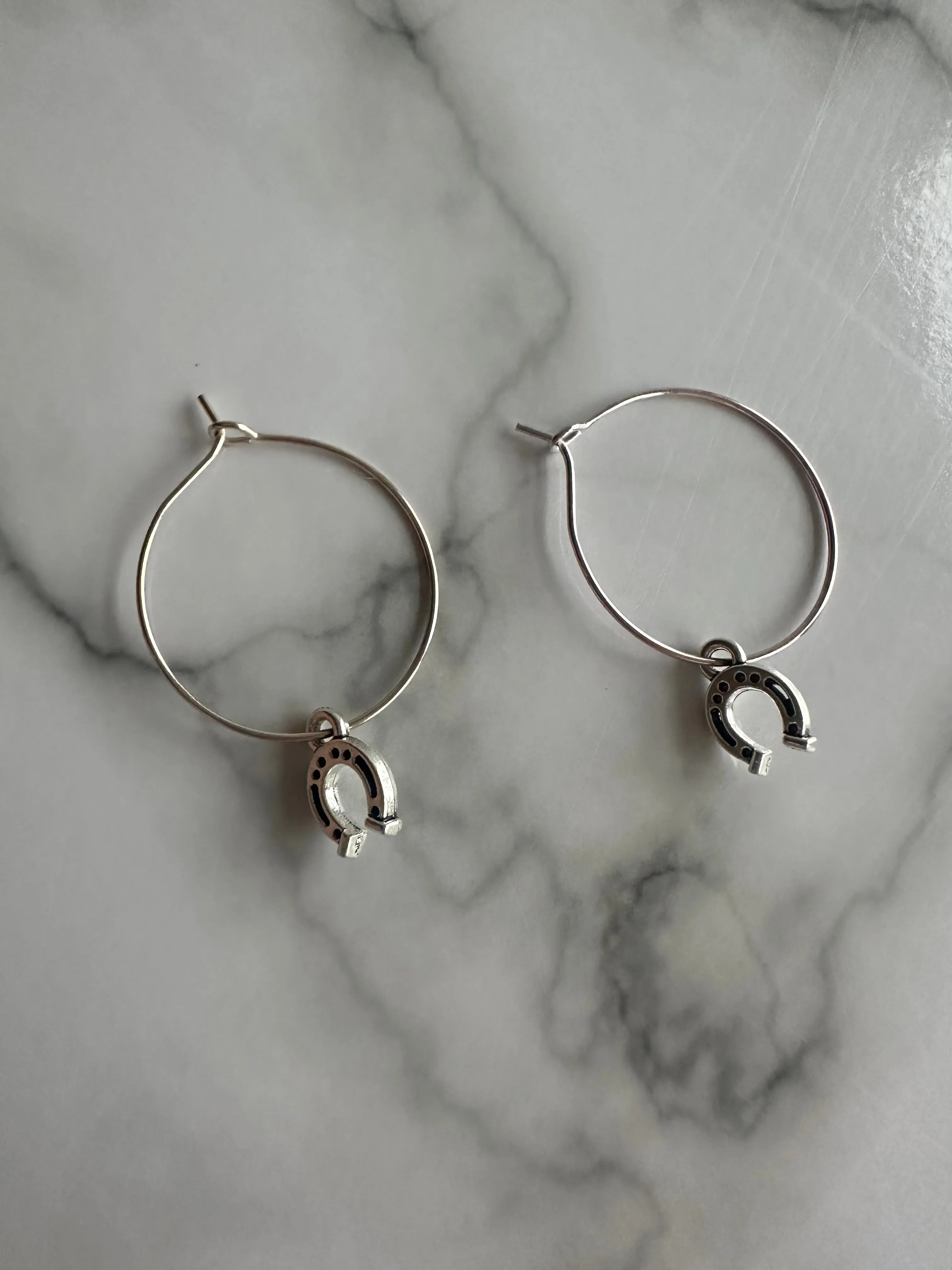 Horseshoe Earrings