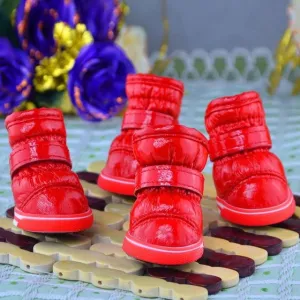 Snow Shoes For Dogs